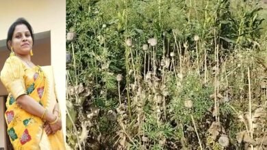 image 2026 04 03T131420.143