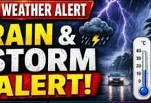 image editor output image 1611584447 1777371101200