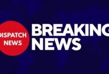 image editor output image688788828 1776938742265