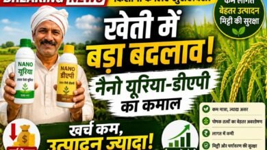 कम बोरी, ज्यादा असर: नैनो यूरिया-डीएपी से खेती में बचत का नया फॉर्मूला, किसानों का बढ़ा भरोसा 3 IMG 20260531 WA0004