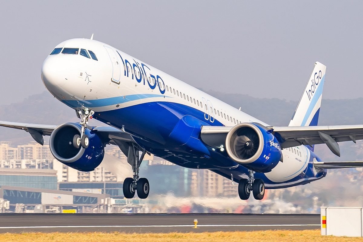 Indigo 16913102613x2 1