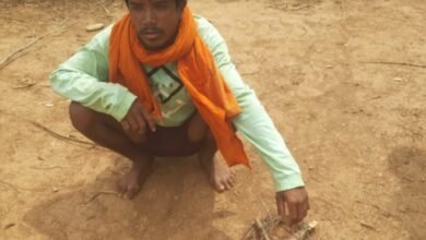 वन्यजीव संरक्षण में बड़ी सफलता : नर चीतल के अवैध शिकार का खुलासा, सात आरोपी गिरफ्तार, न्यायालय ने भेजा जेल 3 1783152334 524aa4df232879dde4a9 1