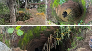 30 07 2026 korba bear rescue m