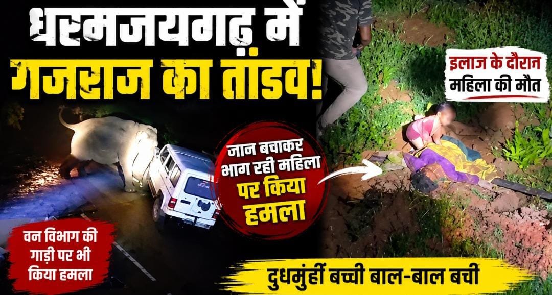 धरमजयगढ़ में हाथी ने मचाई तबाही: महिला की गई जान, वन विभाग की टीम पर भी हमला; इलाके में अलर्ट जारी 1 IMG 20260711 WA0024