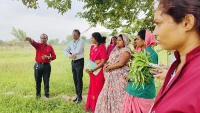 औषधीय खेती से बदली धमतरी की तस्वीर: महिलाओं की आय कई गुना बढ़ी, अब देशभर में अपनाया जाएगा यह सफल मॉडल 4 IMG 20260720 WA0007