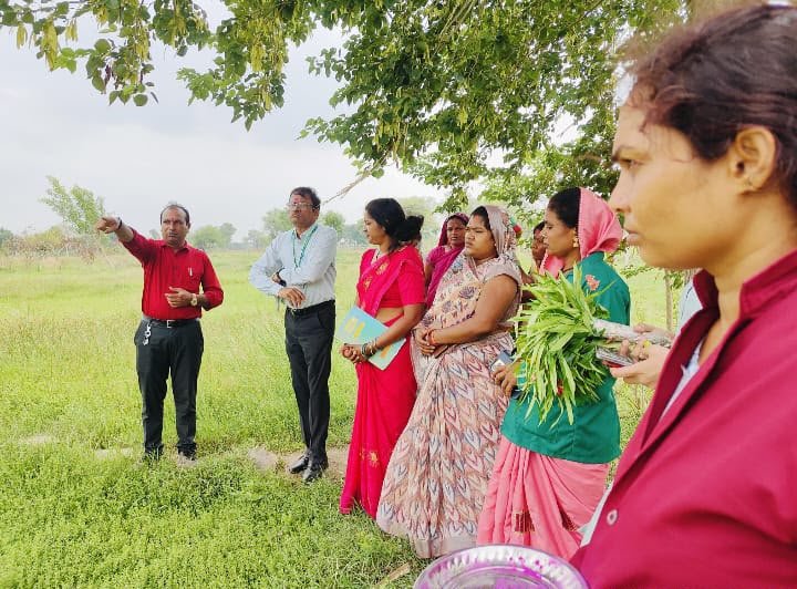 औषधीय खेती से बदली धमतरी की तस्वीर: महिलाओं की आय कई गुना बढ़ी, अब देशभर में अपनाया जाएगा यह सफल मॉडल 1 IMG 20260720 WA0007