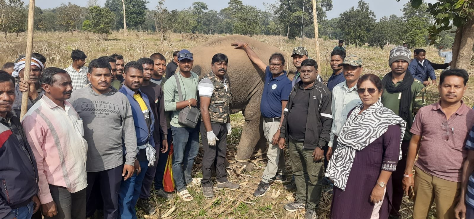 Forest staff, vets save young elephant in Udanti Sitanadi Tiger Reserve, avert human-jumbo conflict 1 IMG 20260731 WA0039