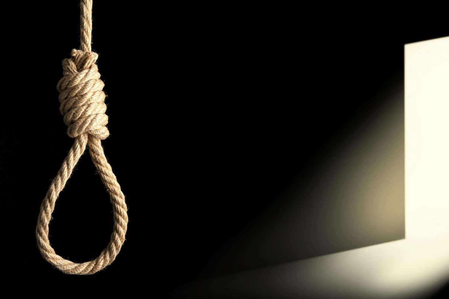 suicidero 2