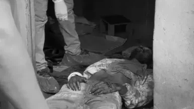 5541570 untitled 44 copy