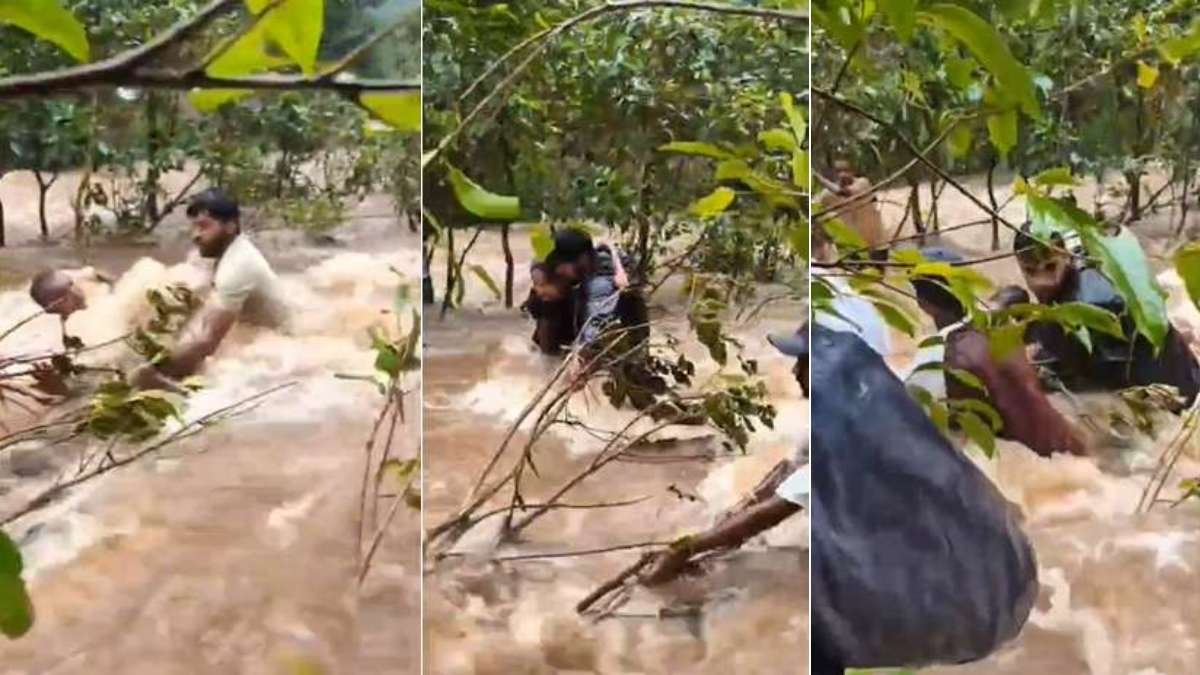 बारिश में दनगरी वाटरफॉल घूमना पड़ा भारी : नदी के तेज बहाव में फंसे 7 पर्यटक, स्थानीय लोगों और रेस्क्यू टीम ने बचाया 1 BeFunky design 39