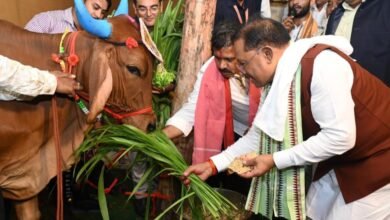 विशेष लेख: गेड़ी, कृषि औजार और पशुधन पूजा की परंपरा, CM साय ने किसान हितैषी फैसलों से हरेली के उत्सव को बनाया और खास 9 IMG 20260810 WA0083
