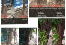 Raipur Civic Body Removes 1,922 Tree Guards to Boost Plant Growth 13 IMG 20260813 WA0045