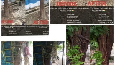 Raipur Civic Body Removes 1,922 Tree Guards to Boost Plant Growth 3 IMG 20260813 WA0045