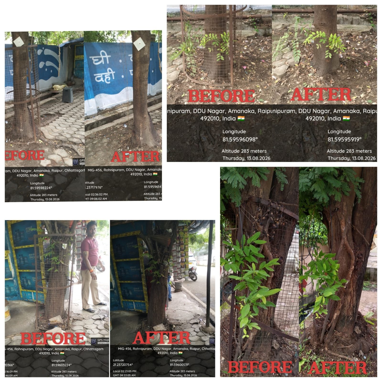 Raipur Civic Body Removes 1,922 Tree Guards to Boost Plant Growth 1 IMG 20260813 WA0045