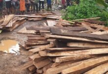 Chhattisgarh: Interstate Timber Smuggling Network Busted; Teak Seized 11 IMG 20260828 WA0016