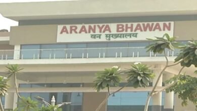 cg forest department