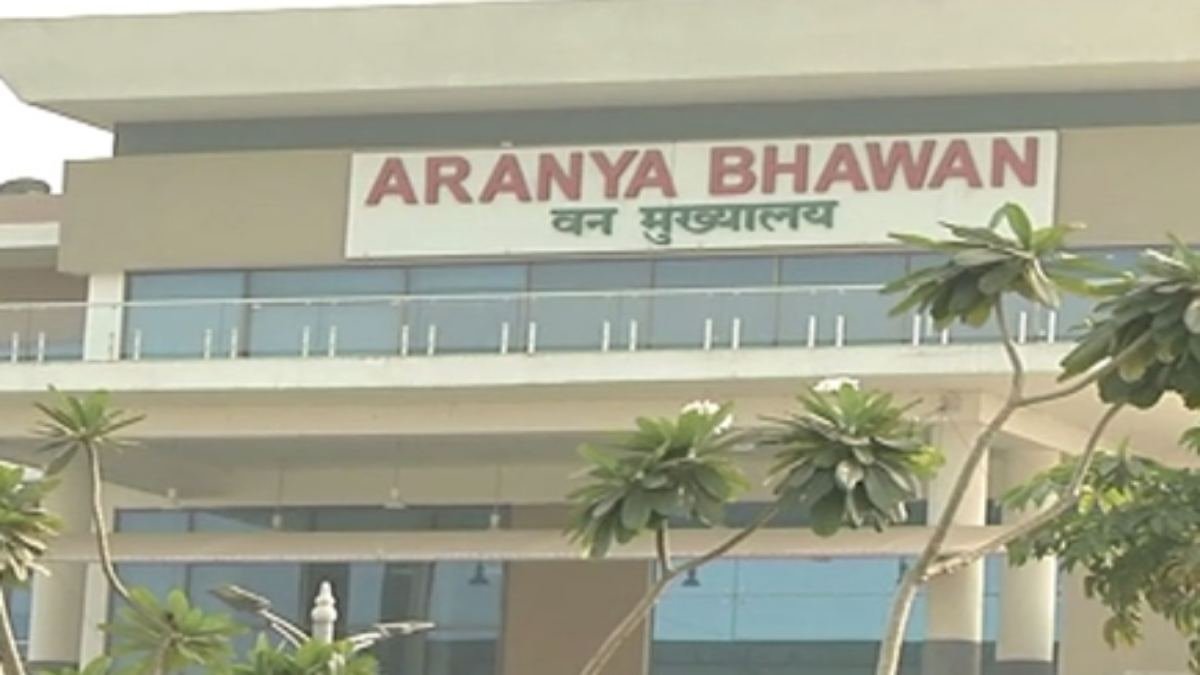 IFS Transfer Breaking: 2024 बैच के प्रशिक्षु वन सेवा अधिकारियों को मिली पहली फील्ड पोस्टिंग, जानें किसे मिला कौन-सा वनमंडल 1 cg forest department