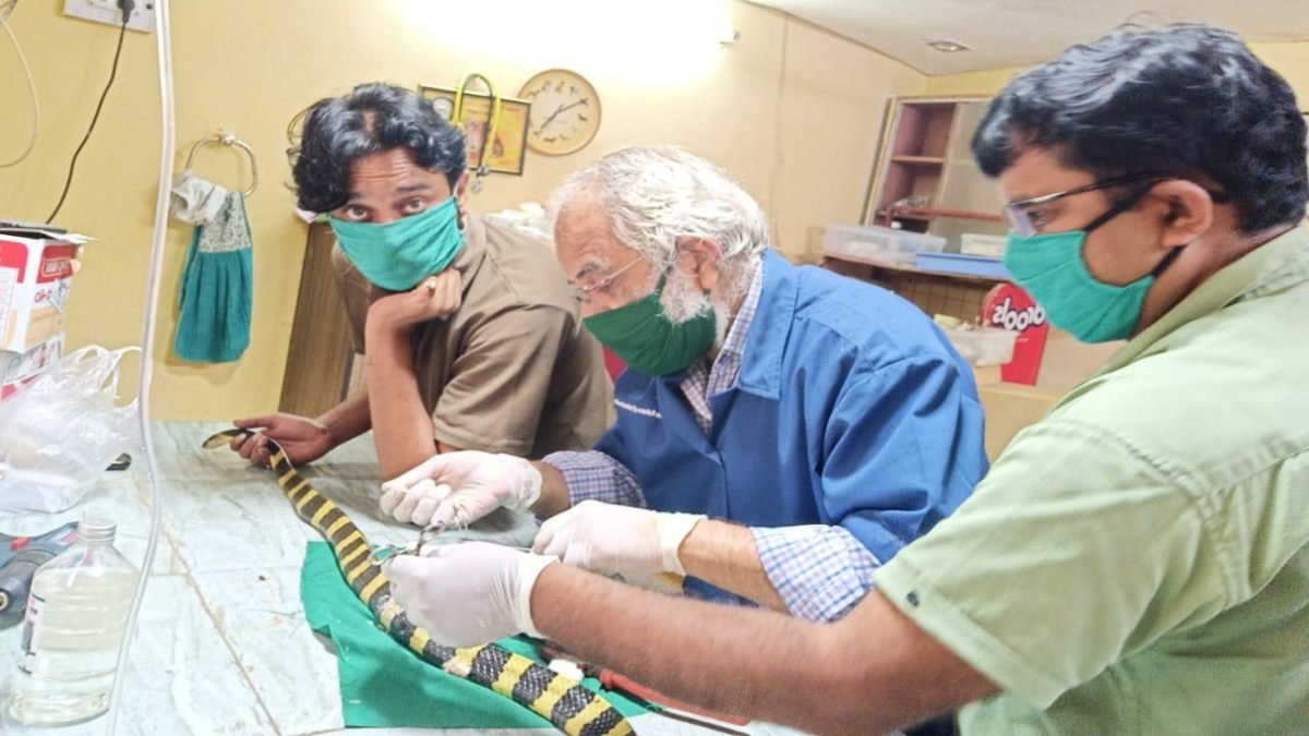 image 2026 08 17T160811.007