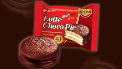 दुर्ग में Lotte Choco Pie का एक बैच असुरक्षित घोषित, बिक्री-भंडारण पर तत्काल रोक 3 lotte choco pie 28g pack imported from india tangy shop tangy shop 194498 1