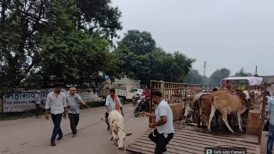 IMG 20260901 WA00231
