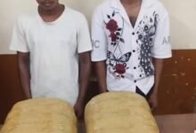 Two Odisha men arrested with cannabis worth ₹9.16 lakh in Raipur 15 IMG 20260914 WA0080