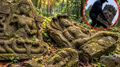बस्तर की 1000 साल पुरानी विरासत पर संकट: माओवादियों के जाने के बाद भी सुरक्षित नहीं नागवंश काल की दुर्लभ प्रतिमाएं 4 special story 16 3